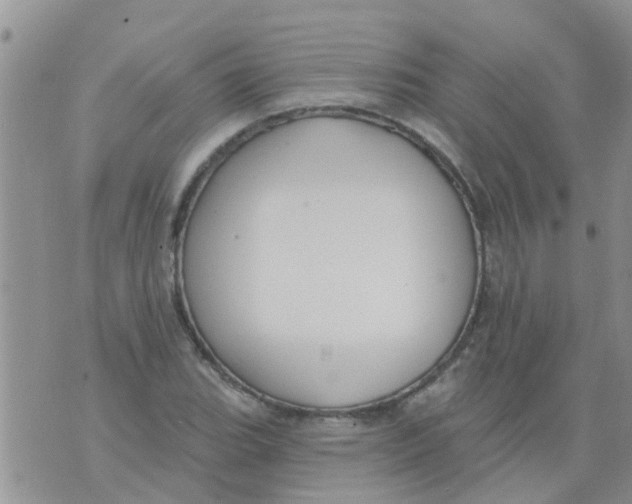 X0000073931119200609082256