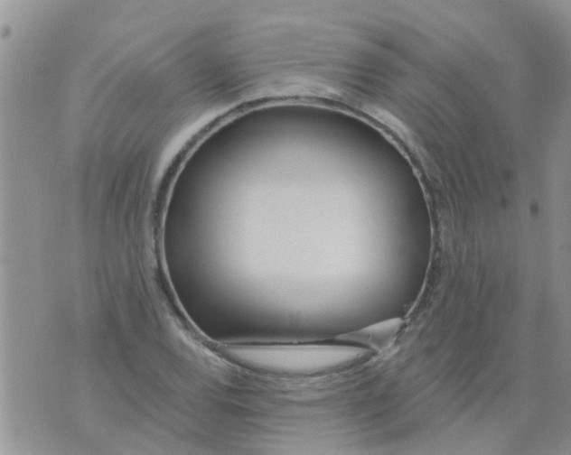 X0000073931120200609082256