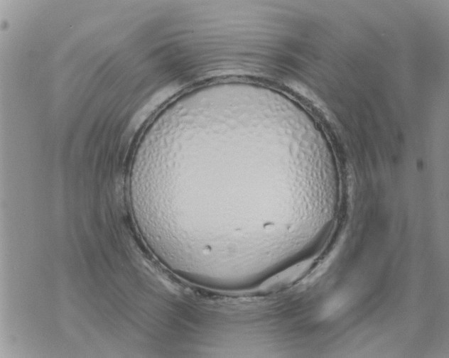 X0000073931121200609082256