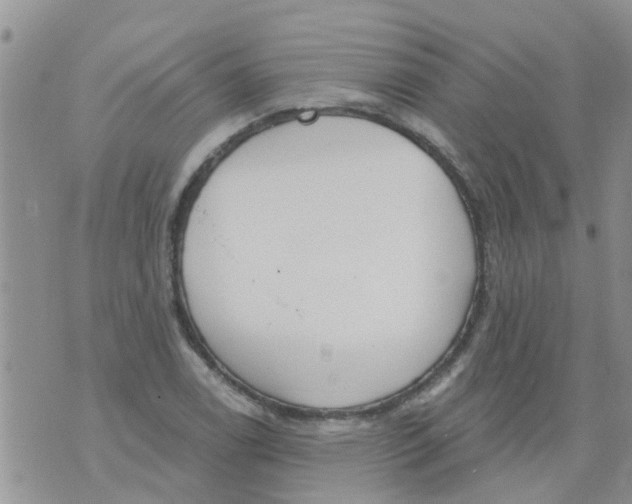 X0000073931122200609082256