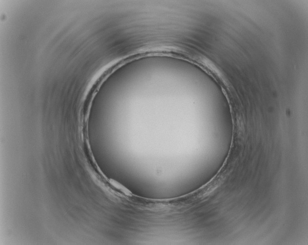 X0000073931124200609082256