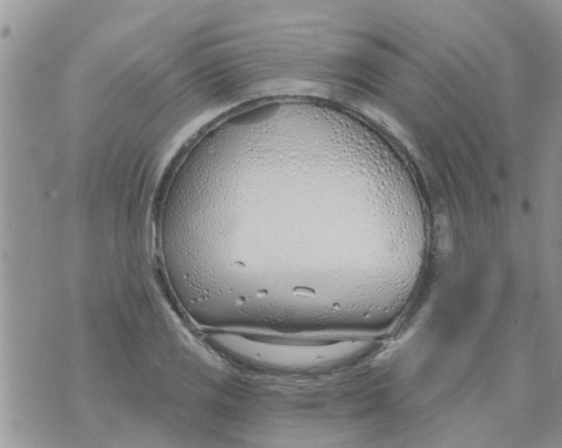 X0000073931125200609082256