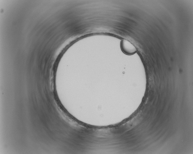 X0000073931126200609082256