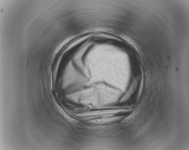 X0000073931127200609082256