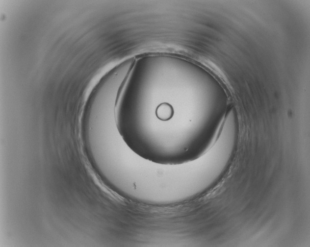 X0000073931128200609082256