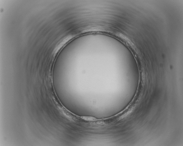 X0000073931129200609082256