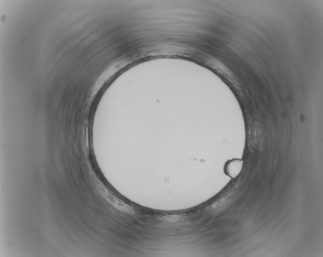 X0000073931130200609082256