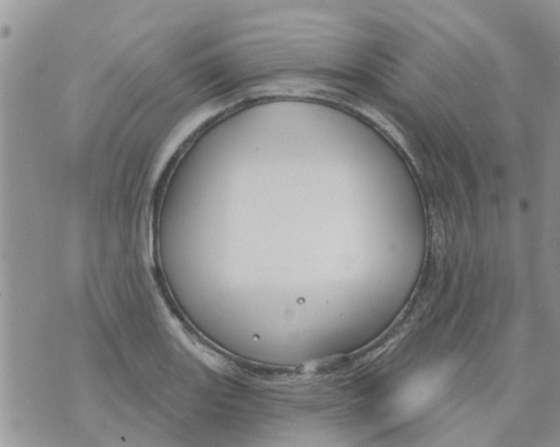 X0000073931131200609082256