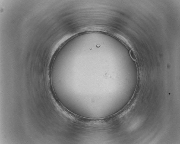 X0000073931133200609082256