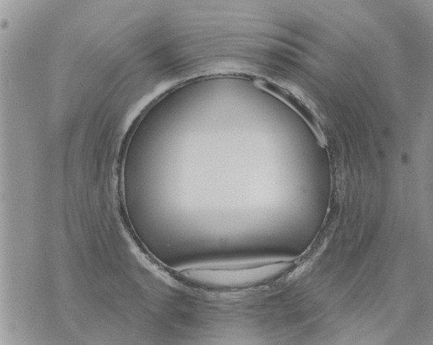 X0000073931134200609082256