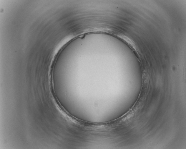 X0000073931135200609082256