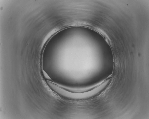 X0000073931138200609082256