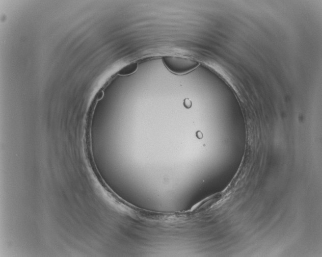 X0000073931139200609082256