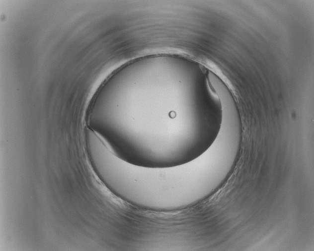 X0000073931140200609082256