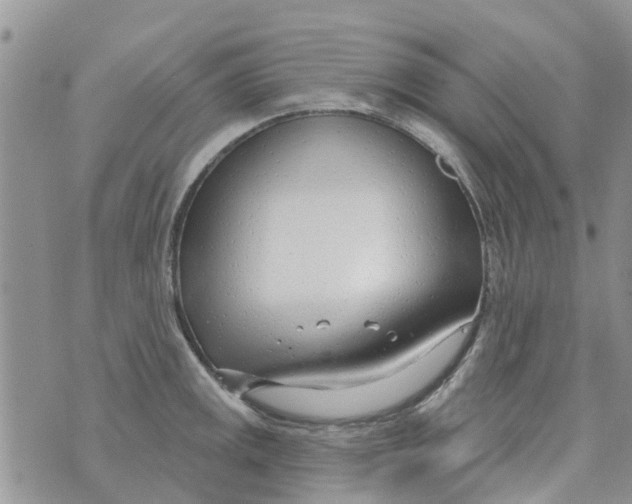 X0000073931141200609082256