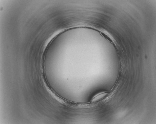 X0000073931142200609082256