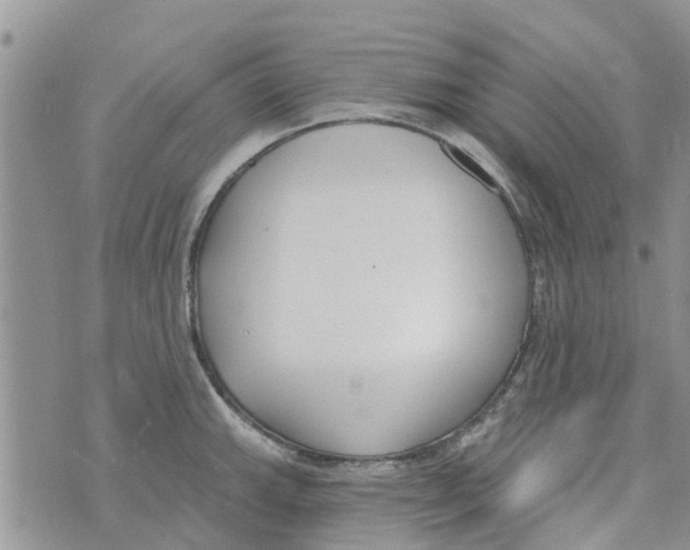 X0000073931143200609082256