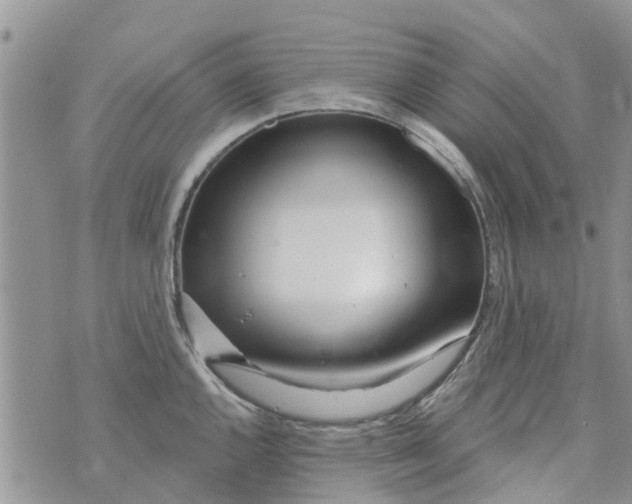 X0000073931144200609082256