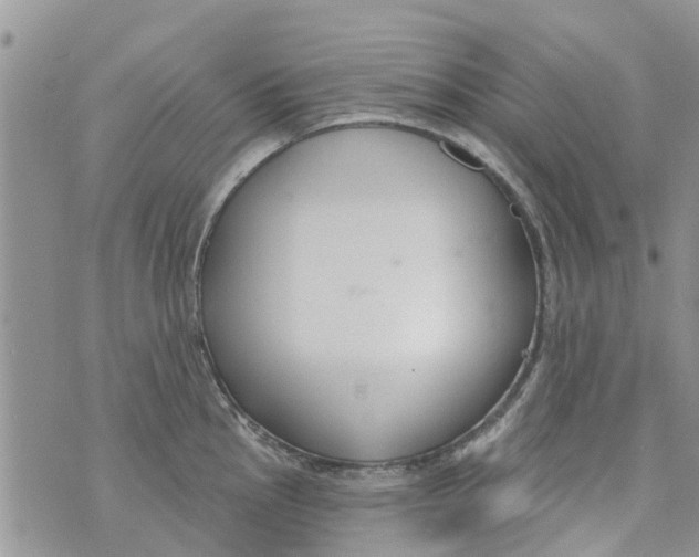 X0000073931145200609082256