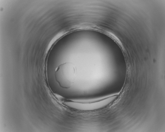 X0000073931146200609082256