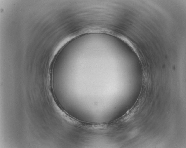 X0000073931147200609082256