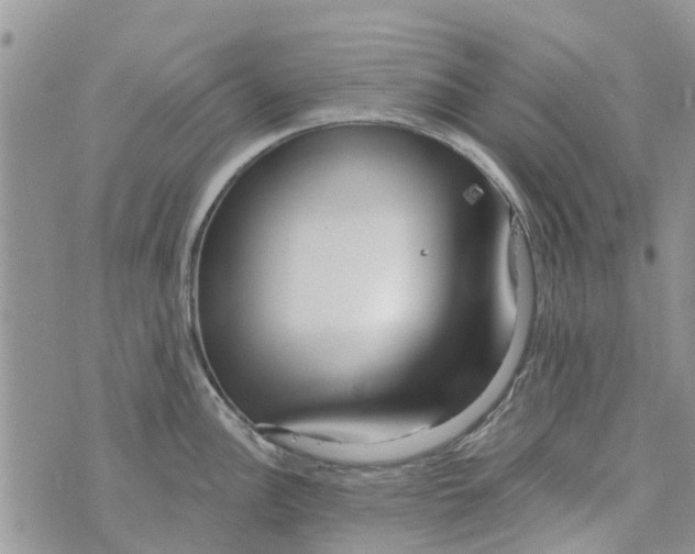 X0000073931148200609082256