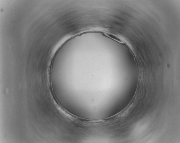 X0000073931151200609082256