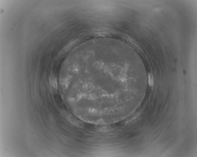 X0000073931155200609082256