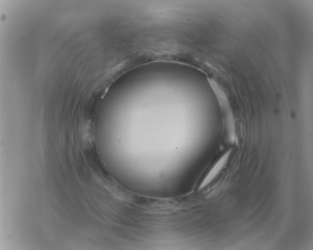 X0000073931156200609082256