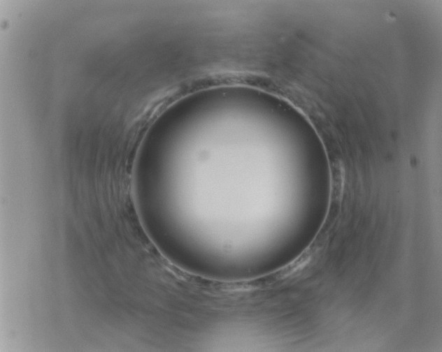 X0000073931157200609082256