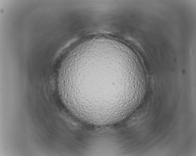 X0000073931159200609082256