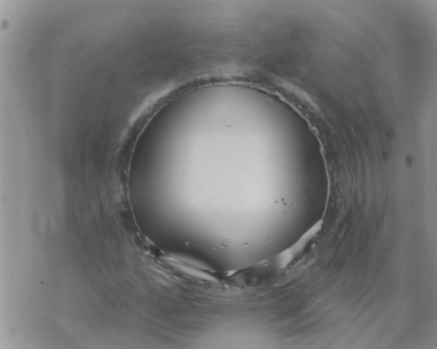 X0000073931160200609082255