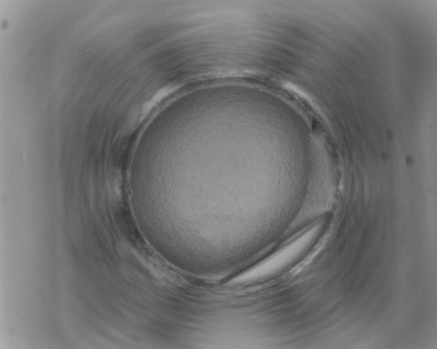 X0000073931161200609082255