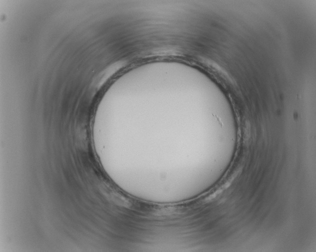 X0000073931162200609082255