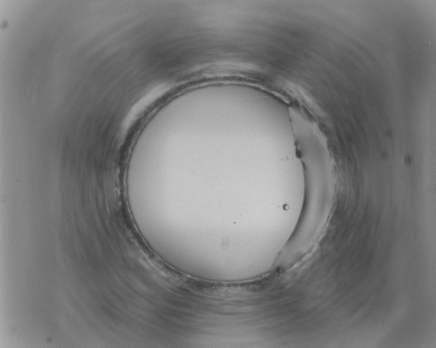 X0000073931164200609082255