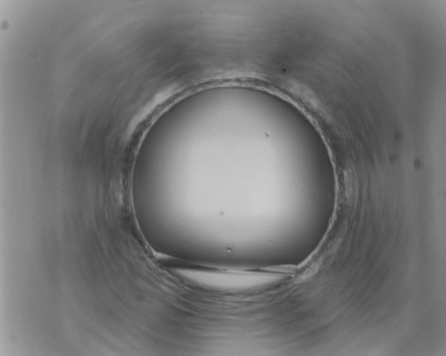 X0000073931165200609082255