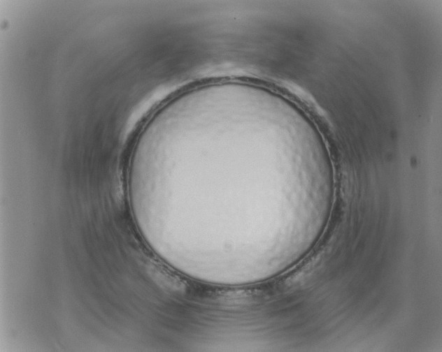 X0000073931167200609082255