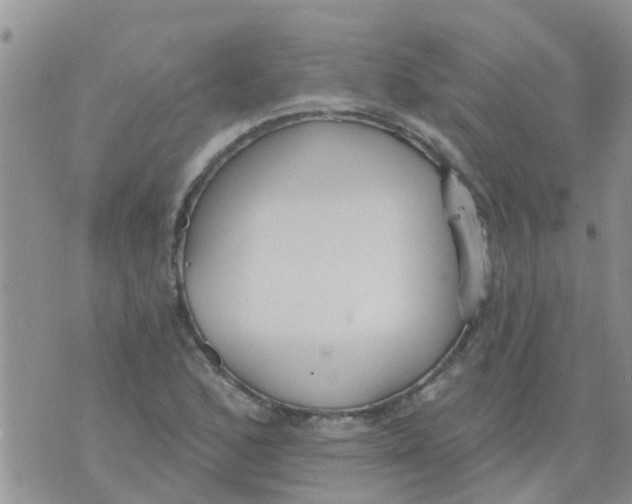 X0000073931168200609082255