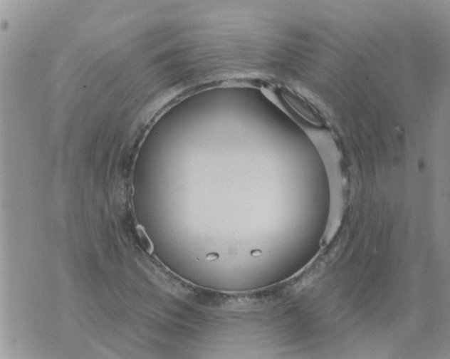 X0000073931169200609082255