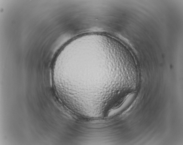 X0000073931171200609082255