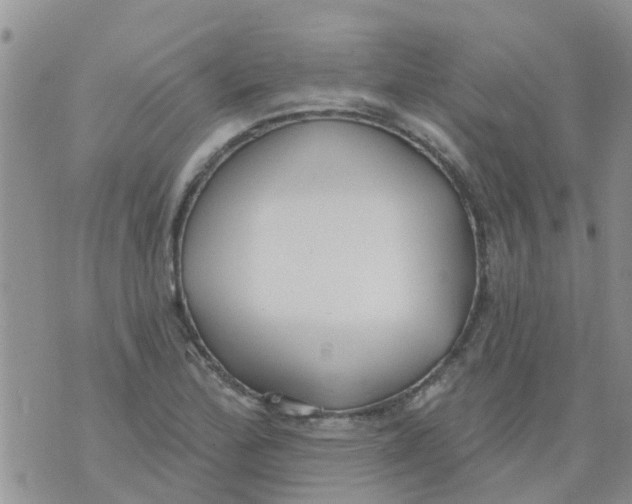 X0000073931172200609082255