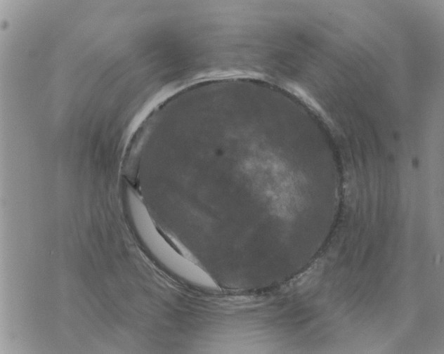 X0000073931173200609082255