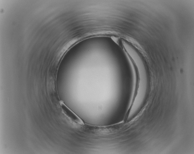 X0000073931177200609082255