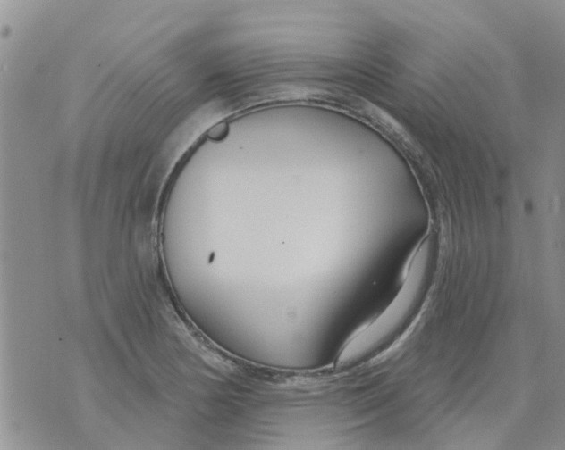 X0000073931178200609082255