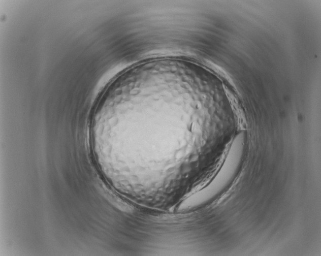 X0000073931179200609082255