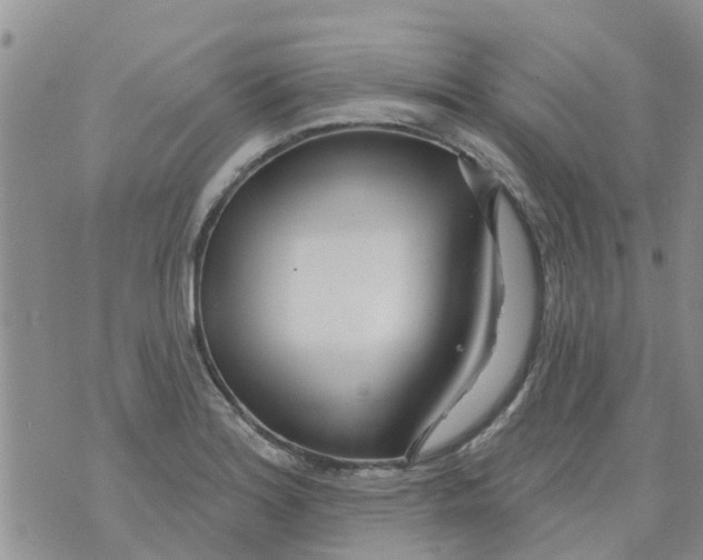 X0000073931180200609082255