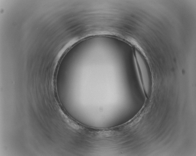 X0000073931181200609082255