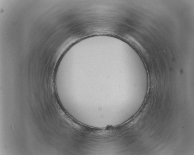 X0000073931182200609082255