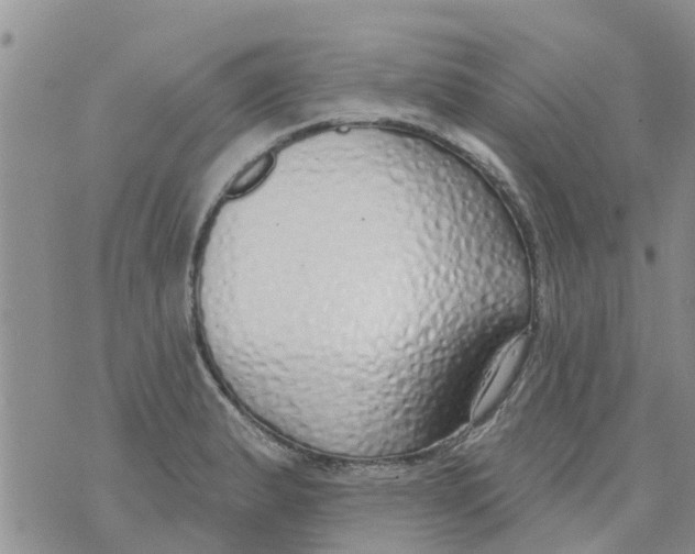 X0000073931183200609082255