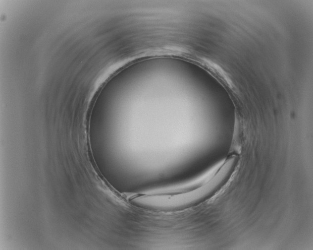 X0000073931184200609082255